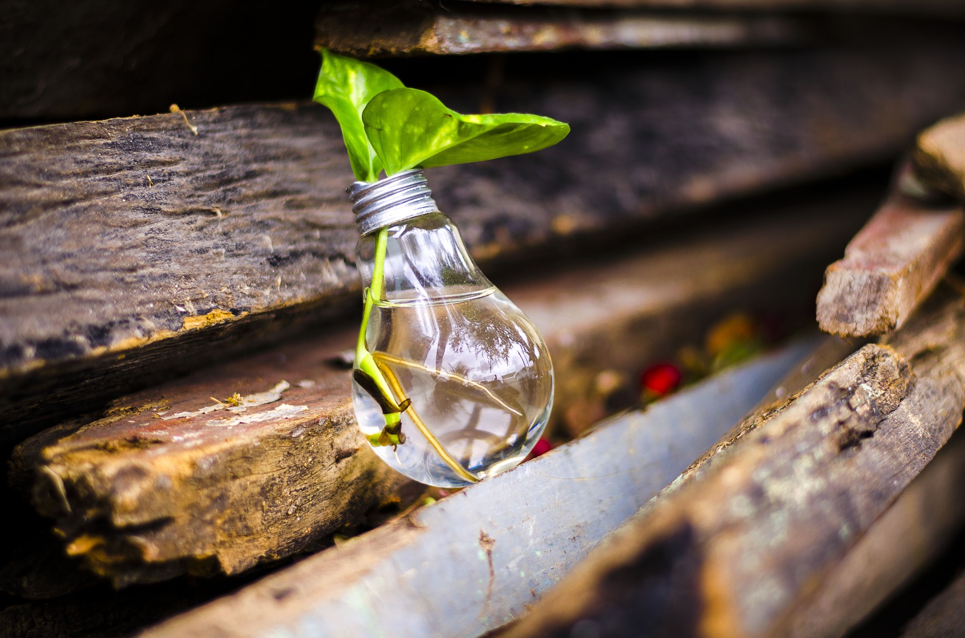 circular_economy_light